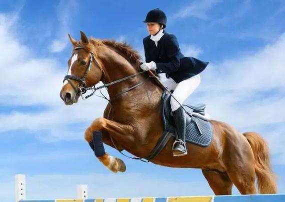 2018年海南竞技类公司还能注册吗